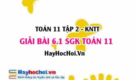 Bài 6.1 SGK Toán 11 Tập 2 Kết nối tri thức